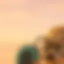 A blurry photo